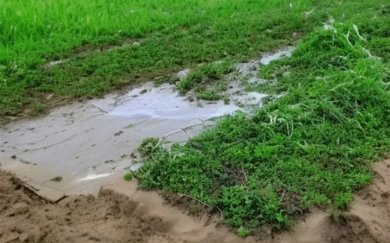 Jak odzyskać ziemię zabraną przez państwo